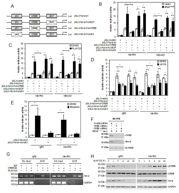 fig3