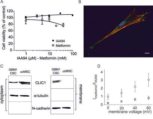 fig4