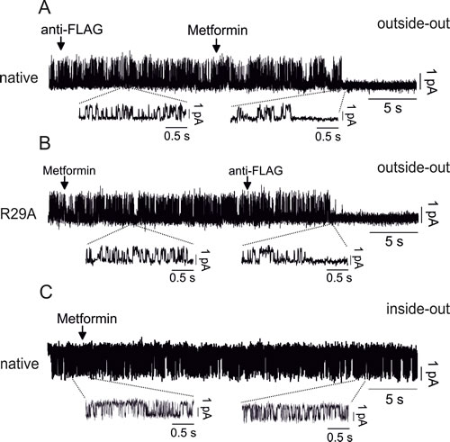 fig8