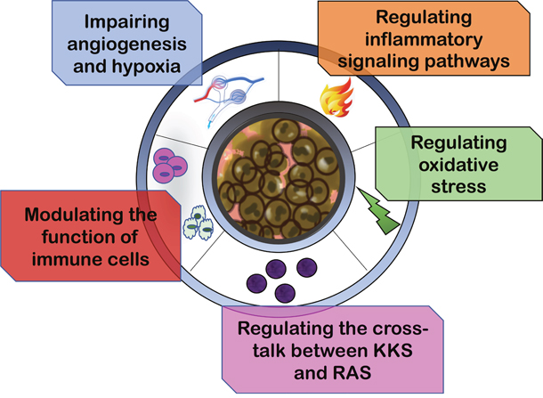 Figure 2: Renin-angiotensin inhibitors reprogram tumor immune microenvironment.