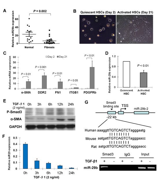FIG1