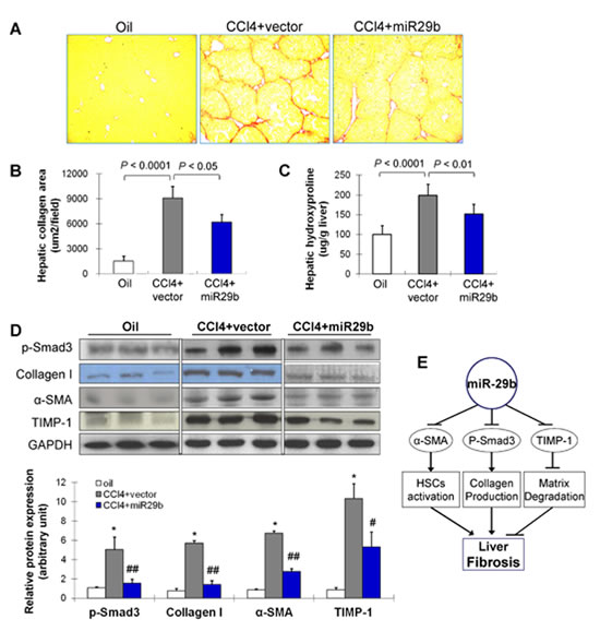 FIG3
