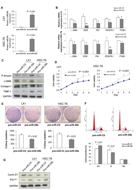 FIG4