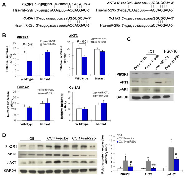 FIG6
