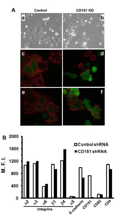 FIG4