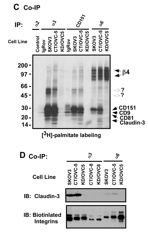 fig4a