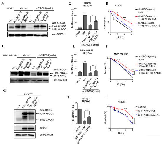 FIG3