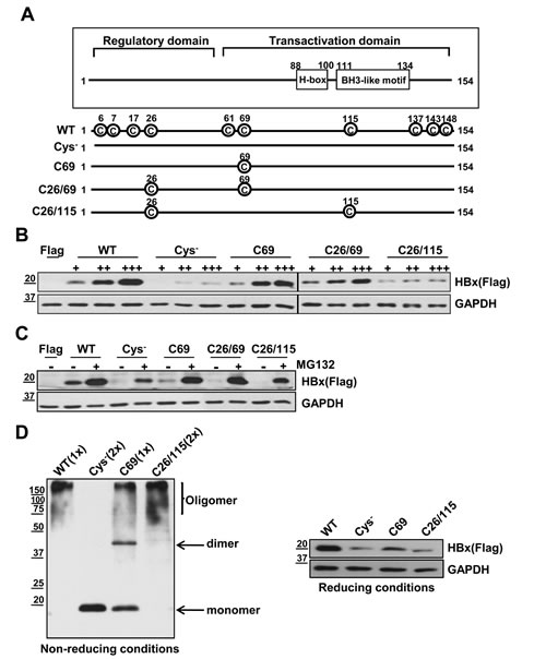 FIG2