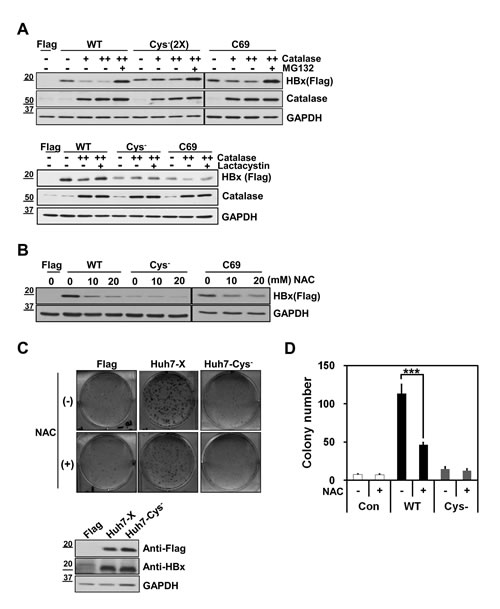 FIG3