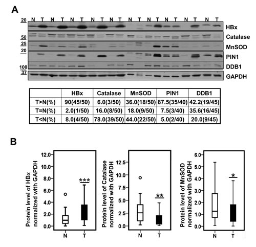 FIG4