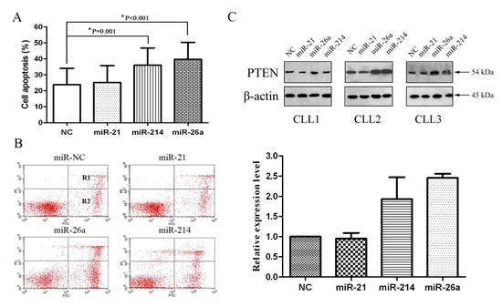 FIG3