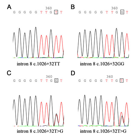 FIG4