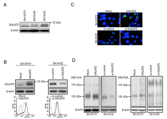 fig2