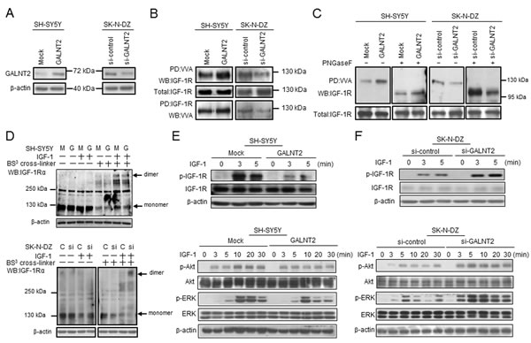 fig4
