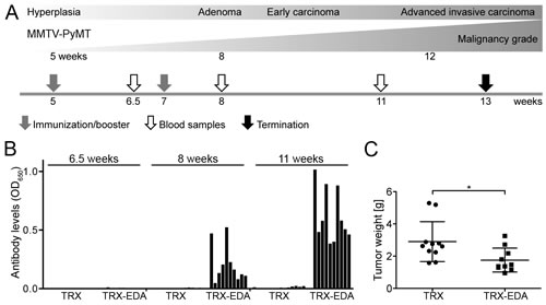 fig3