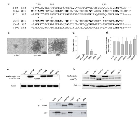 FIG1