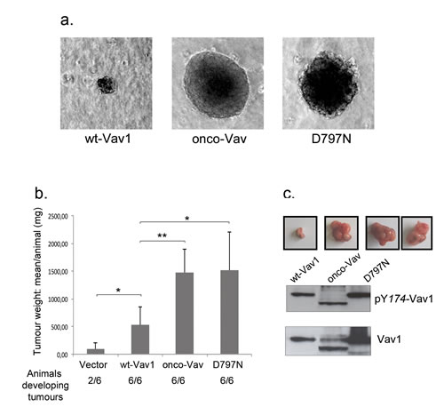 FIG2