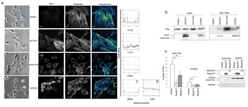 FIG3