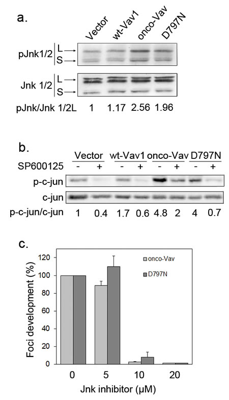 FIG4