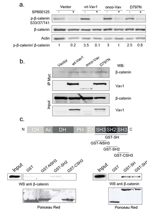 FIG5
