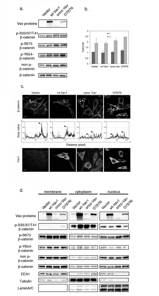 FIG6