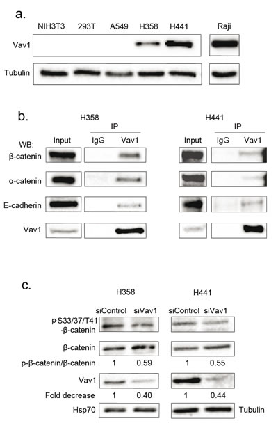 FIG7