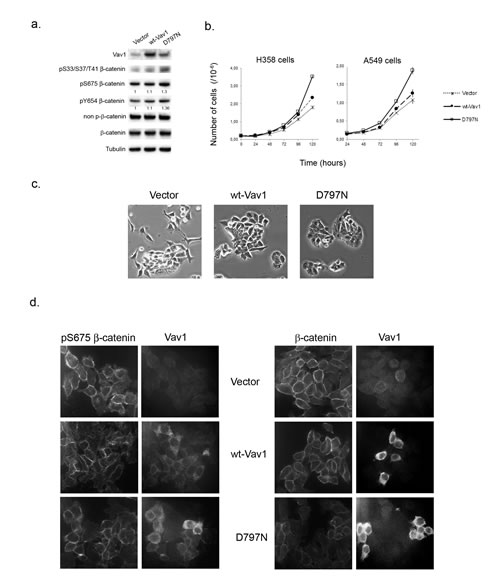 FIG8