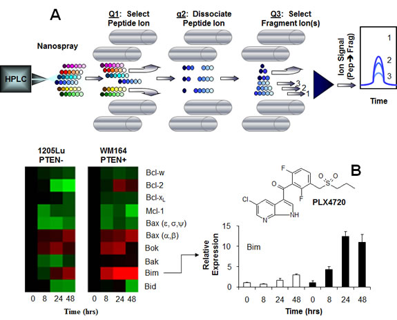 Figure1.pdf
