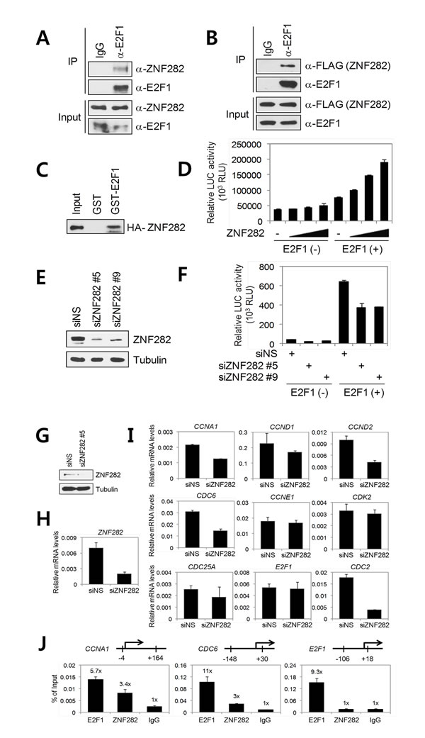 FIG3