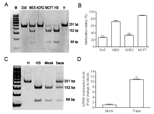 FIG2
