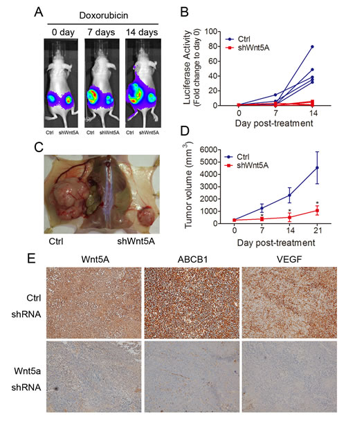 FIG6