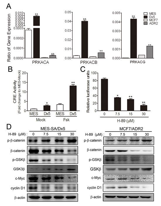 fig3