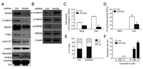 fig4