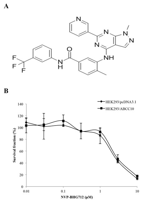 FIG1