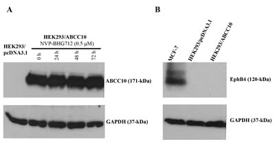 FIG6
