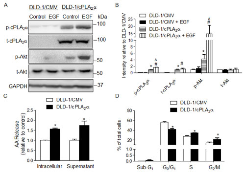 fig1