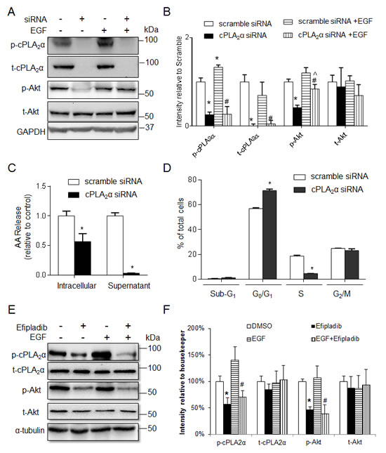 fig2