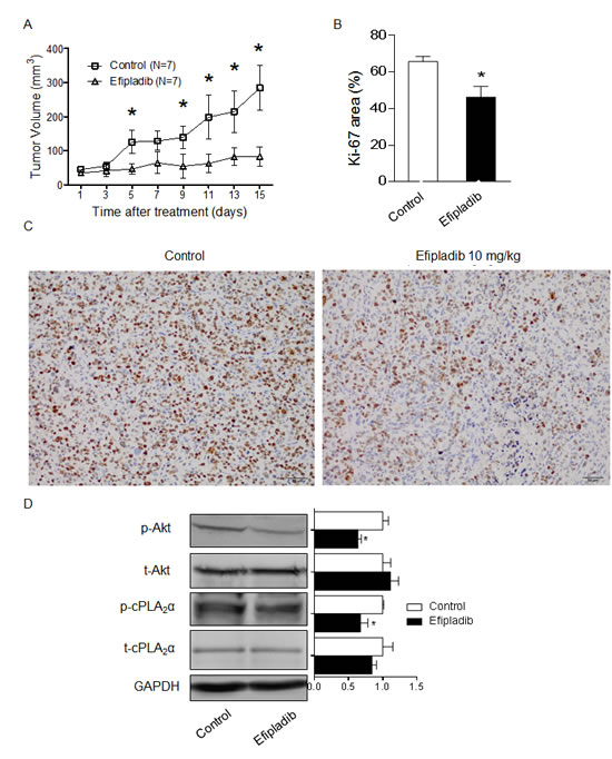 fig4