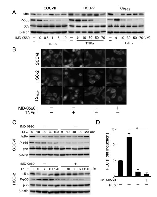 FIG1