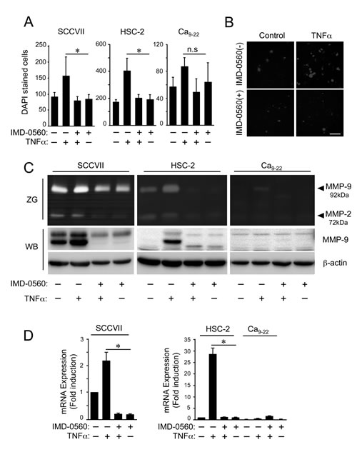 FIG2