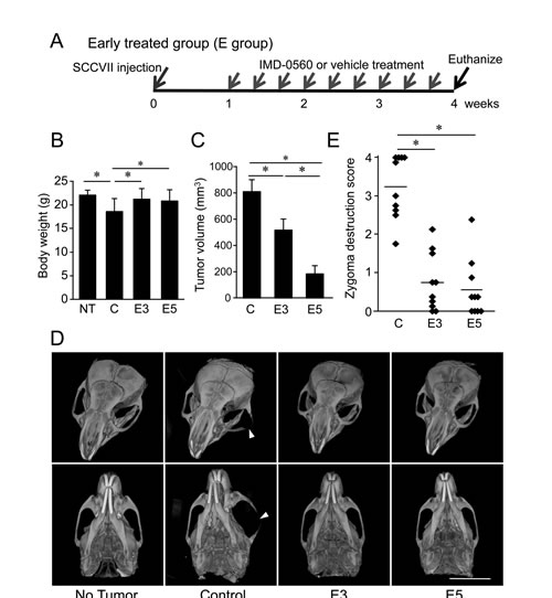 FIG3