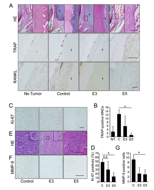 FIG4
