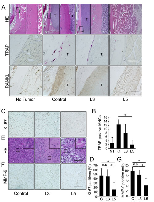 FIG6
