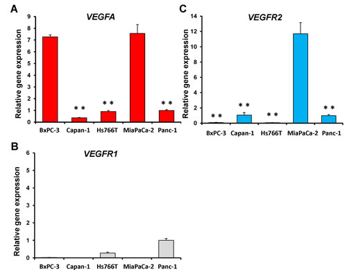 fig1