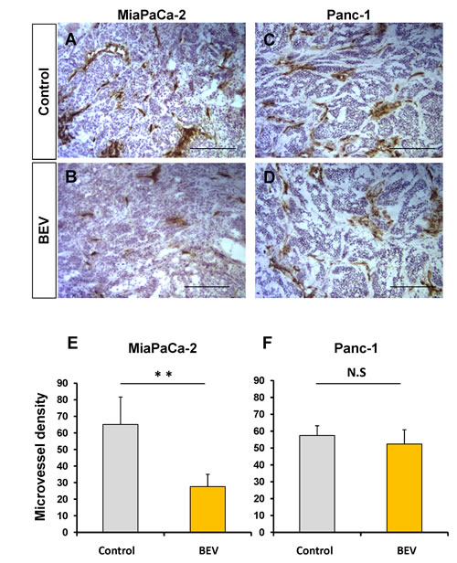 fig4