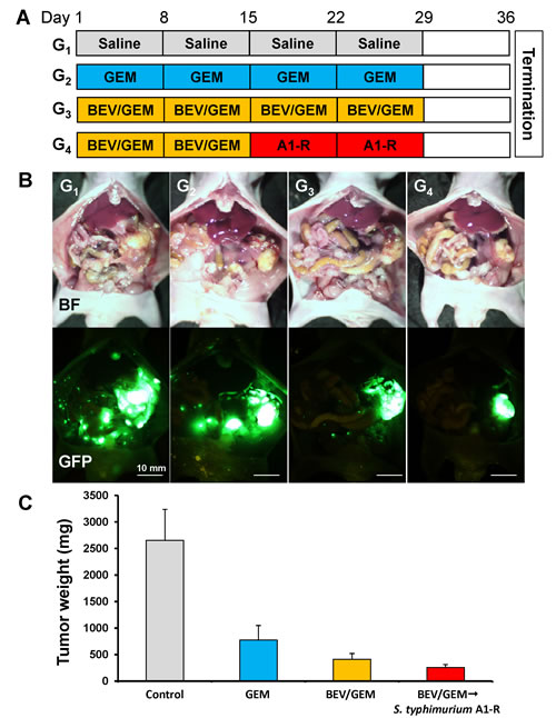 fig6