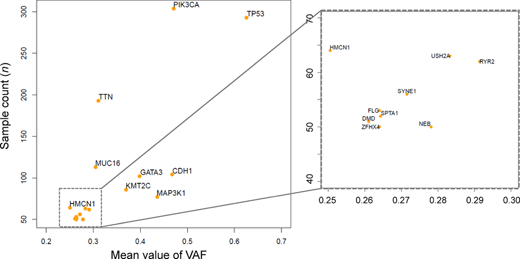 Frequently mutated genes and mean variant allele frequencies (VAFs).