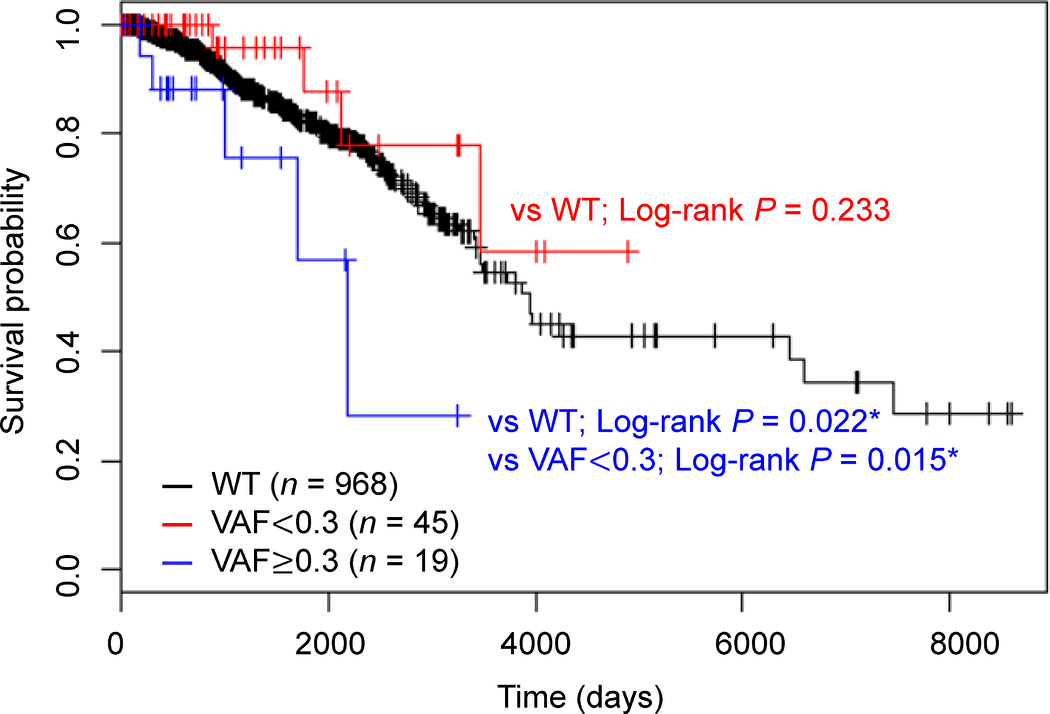 Kaplan–Meier analysis of overall survival according to HMCN1 variant allele frequencies (VAFs).