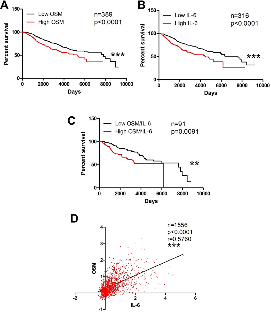 OSM and IL-6 are associated with decreased invasive breast cancer survival