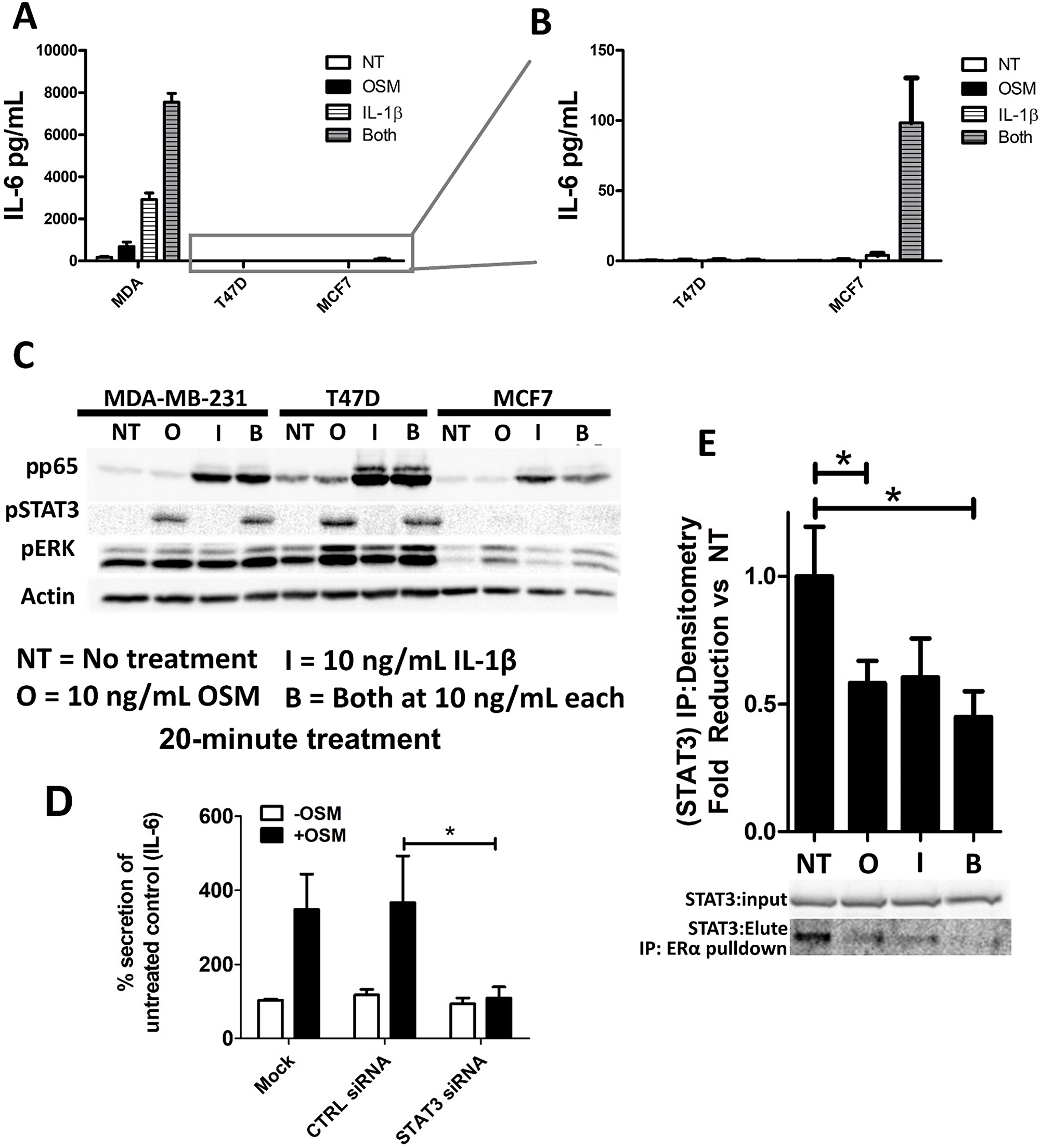 OSM and IL-1β activate separate signaling pathways and synergistically induce IL-6 secretion.